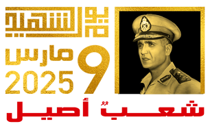 القاهرة 24